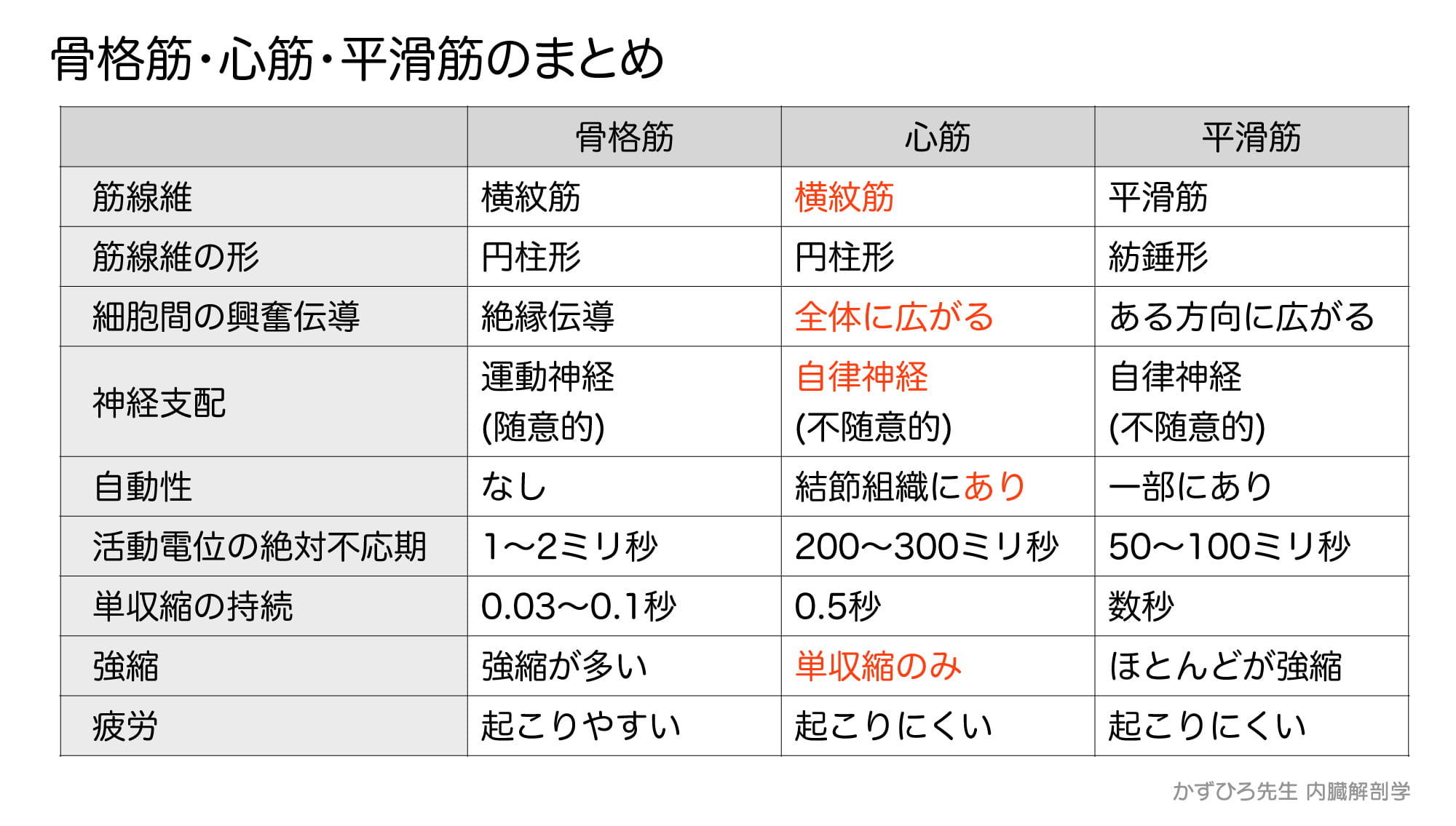 骨格筋・心筋・平滑筋の比較