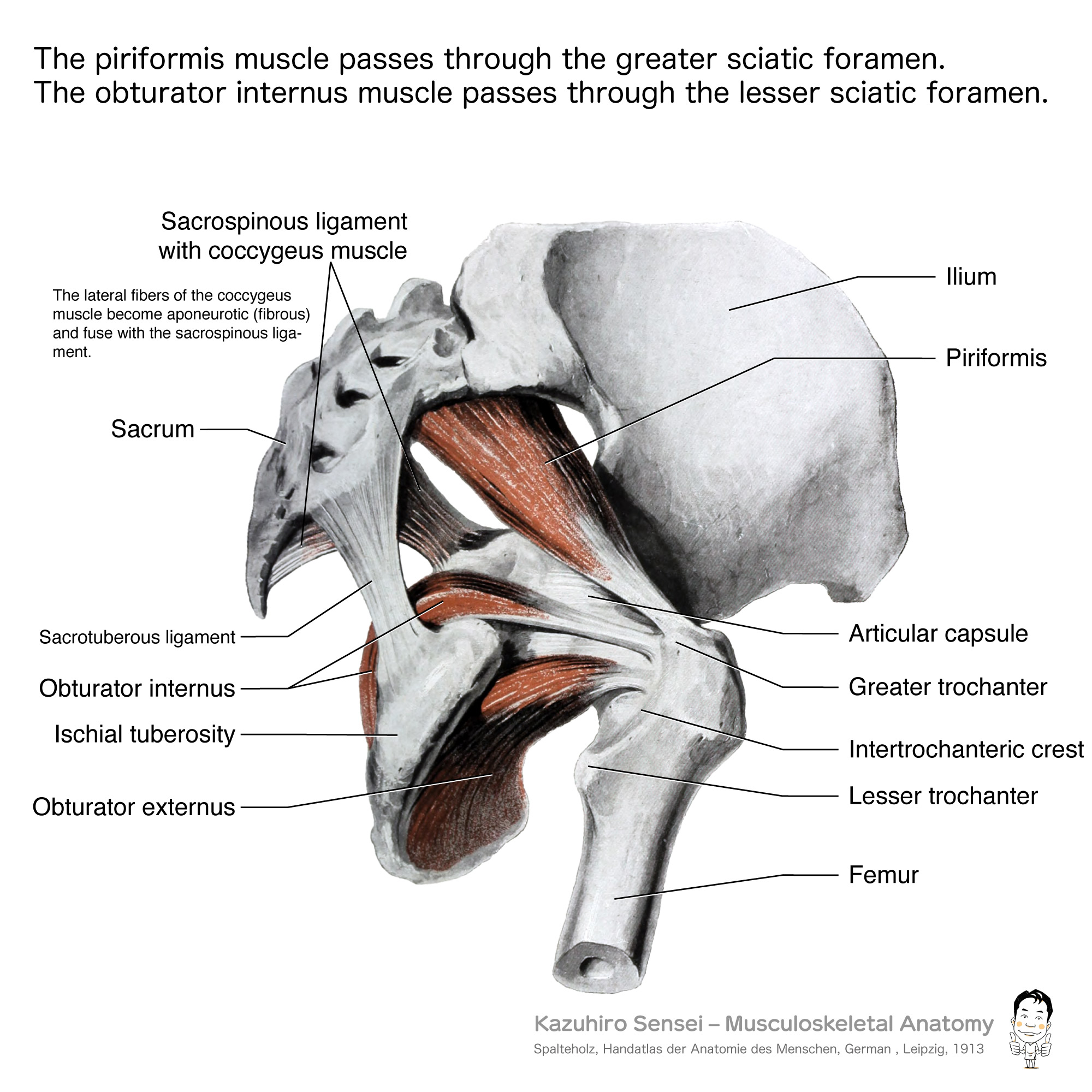 After image